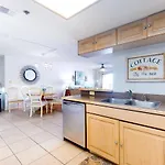 Beach Palms 108