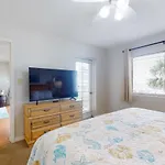 Beach Palms 108