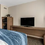 Comfort Inn & Suites Downtown Brickell-Port Of Miami