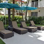 Coral Reef At Key Biscayne