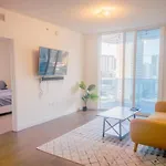 Downtown Miami Apartment