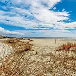 Seaside Searenity