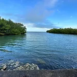 The Mini Coconut