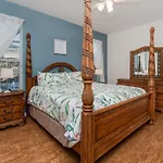 8136 Sun Palm