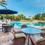 8136 Sun Palm