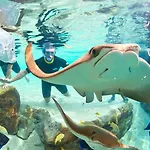 Staybridge Suites Orlando At Seaworld By Ihg - Free Parking & Shuttle To Seaworld Parks