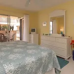 Palms 404