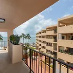 Palms 404