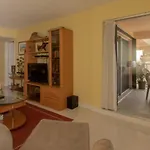 Palms 404