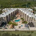 Palms 404