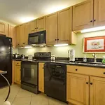 Palms 301