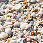 2-904 - Ocean Sands