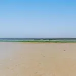 Shores Of Panama 410