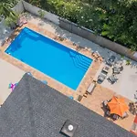 Saltwater Oasis - Large Pool