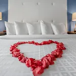 Avalon Hotel Downtown St. Petersburg