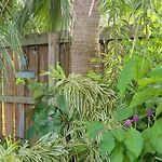 The Butterfly Cottage