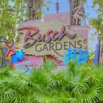 206 - Surf Beach Resort