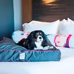 Aloft Miami Dadeland