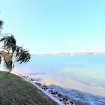 St Pete Isla Del Sol Casa G 207 Bay Front 2 2