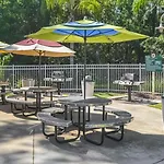 Diamond - Cypress Pointe Resort - St