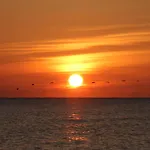 Oceanfront Inn And Suites - Ormond