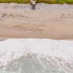 Surfcaster