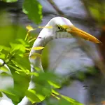 Charming Waterfront Vacation Rental With Fabulous Views And Easy Access To The Caloosahatchee River