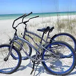 Seagrove - 239 Dogwood