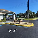 Quality Inn Near Blue Spring