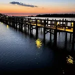 Pelican Nest At Perdido Beach