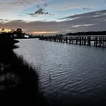 Pelican Nest At Perdido Beach