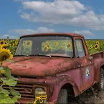 Countryside Escape Near Disney & Adventure Park