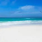 Top Of The Gulf 824