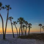 Palm Gables 106
