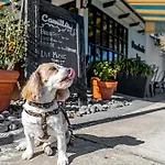 Beachside Inn