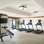 Springhill Suites By Marriott Tampa Westshore
