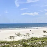 Oceans Of Amelia - 309
