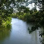 Ed & Ellen\'S Canal Duplexes W/Dockage - Big Pine Key