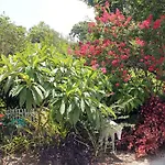 Heron Cay Lakeview Bed & Breakfast