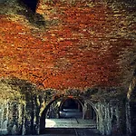 Hotel Del Sol - Pensacola