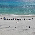 Marisol Beach Resort