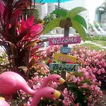 Atlantic Sands Beach Suites