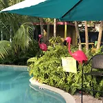 Calypso Inn Wilton Gay Male Resort
