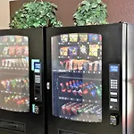 Microtel Inn & Suites By Wyndham Jacksonville Airport
