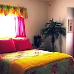 Tropical Paradise Bed & Breakfast