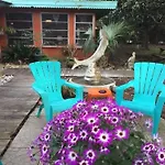 Panama City Beach Bed And Breakfast