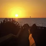 Hilton Grand Vacations Club Regency