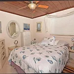 Audreys Paradise 8434