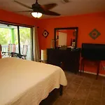 079 - Blue Macaw Home