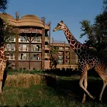 Disney\'S Animal Kingdom Villas - Jambo House